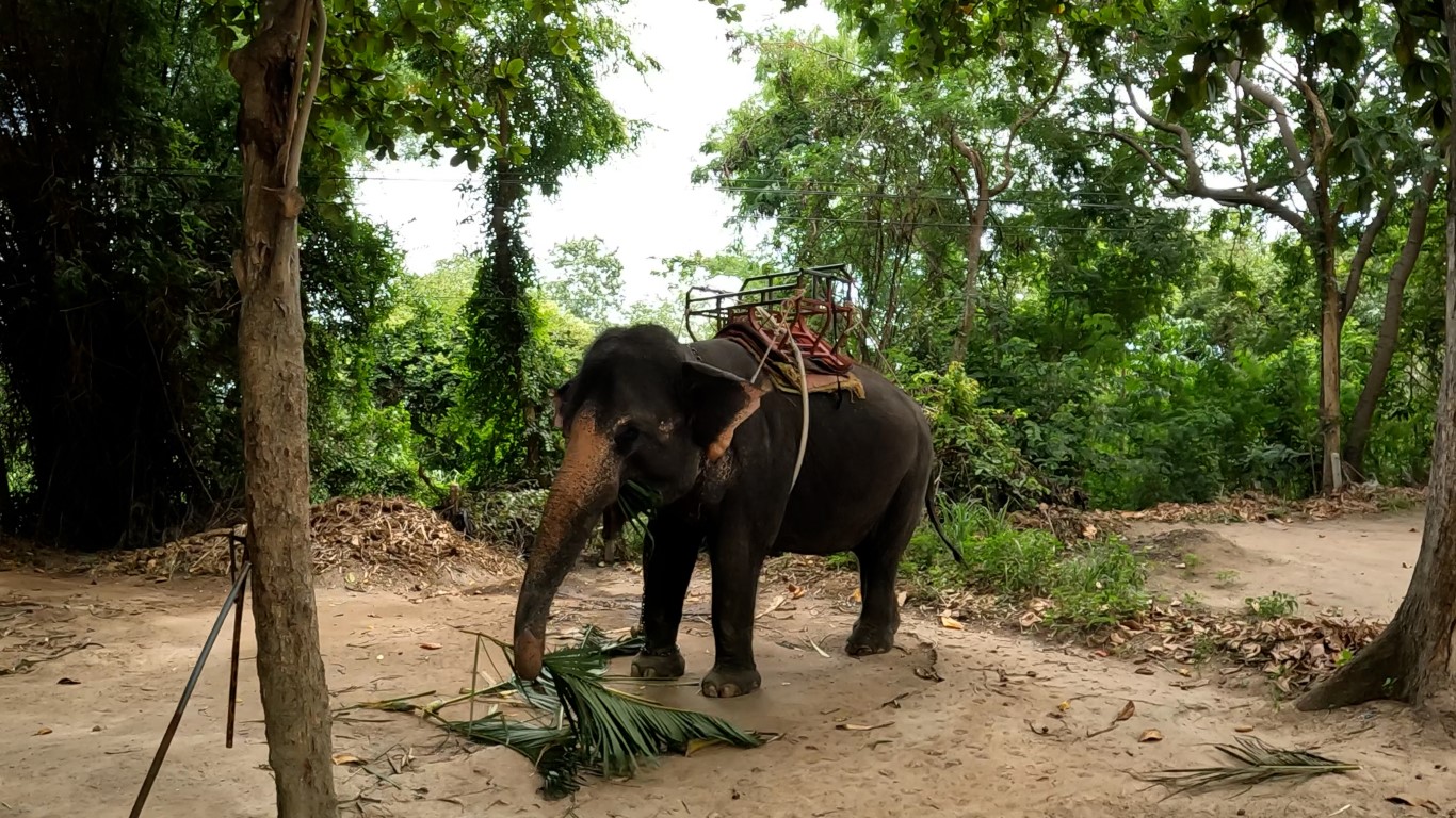 Elephant Village Hua Hin Thailand