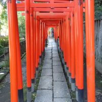 Line of Torii gates at Nezu Shrine Tokyo