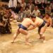 Sumo Wrestling Japan