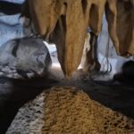 Salagmites and Stalactites in Lub Lae Cave 4