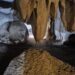 Salagmites and Stalactites in Lub Lae Cave 4