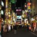 Kabukicho Tokyo Red Light District Shinjuku